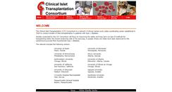Desktop Screenshot of citisletstudy.org